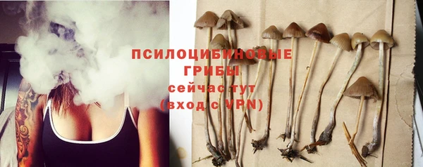mdpv Михайлов