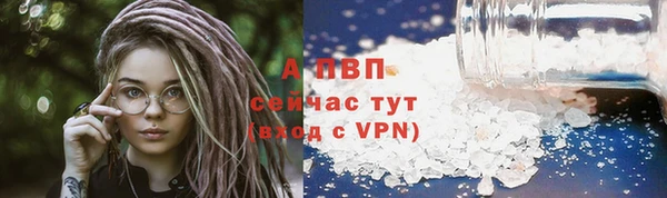 сатива Михайловка