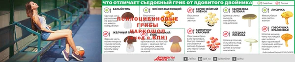 mdpv Михайлов