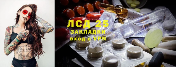 сатива Михайловка