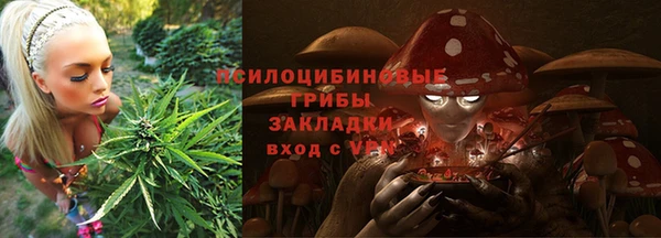 сатива Михайловка
