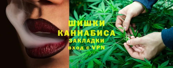 сатива Михайловка